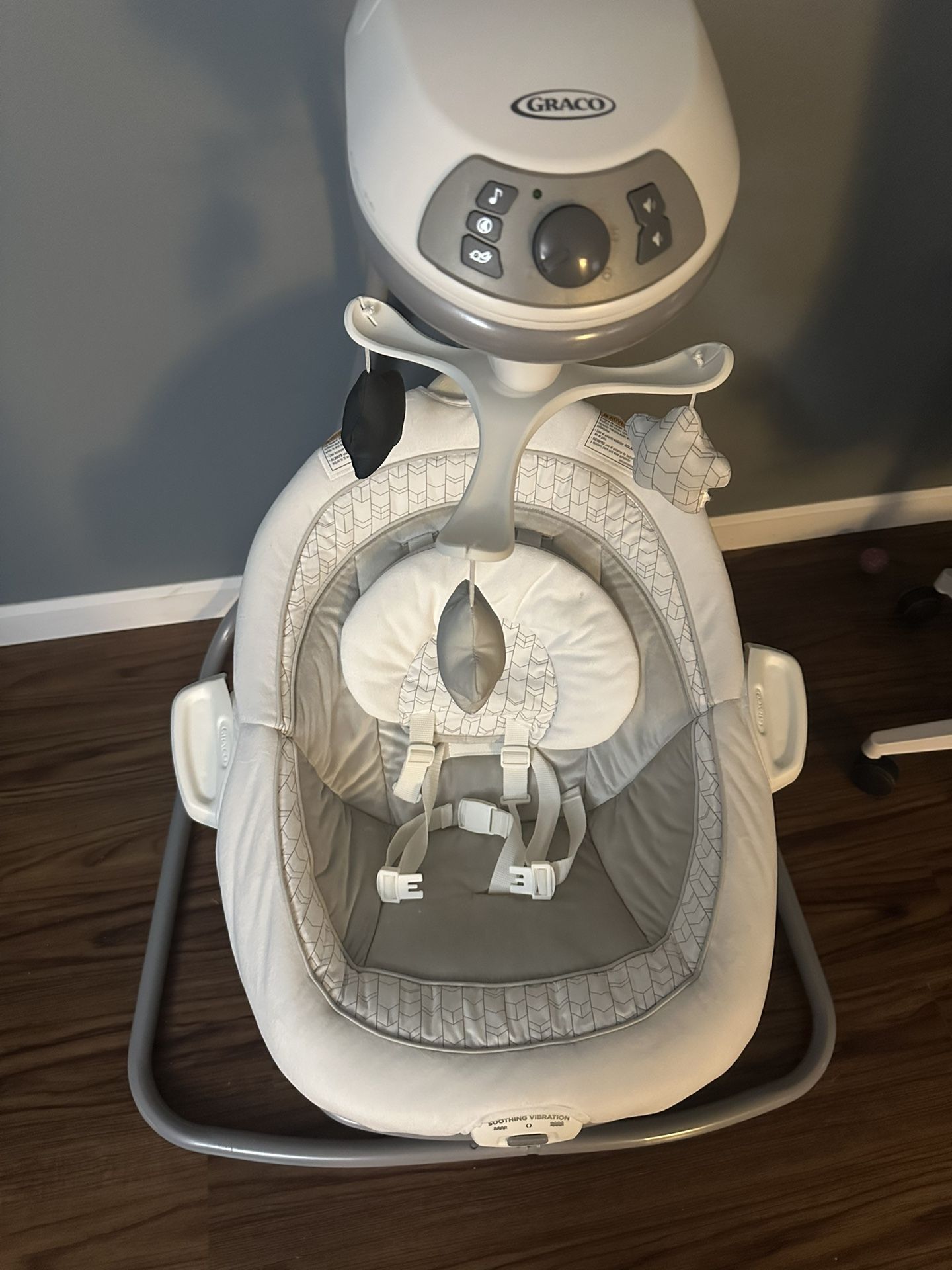 Graco swing/bouncer