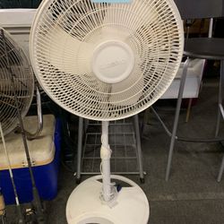 Fan 