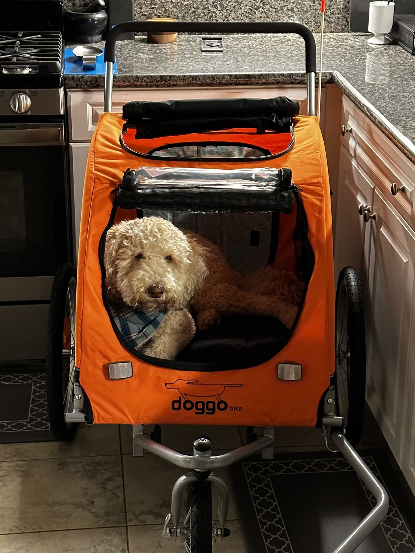 Doggo Bike Trailer