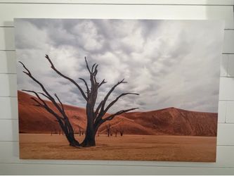 Large Desert Landscape Photography Print