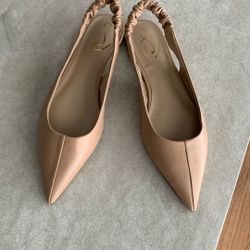 Sam Edelman Pointed Toe Dress Flats
