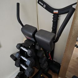 Sunny Health & Fitness Foldable Roman Chair Hyperextension Bench with Back Extension, Home Gym Seat Bench for Glute and Ab Workouts, Optional Incline 