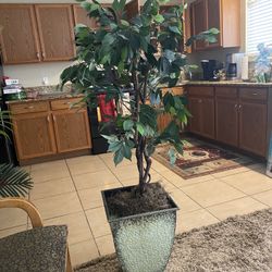 Artificial House Plants