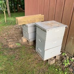 Beehives 