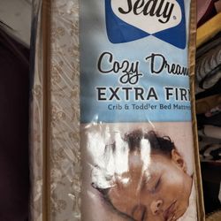 Sealy cozy deals dreams firm