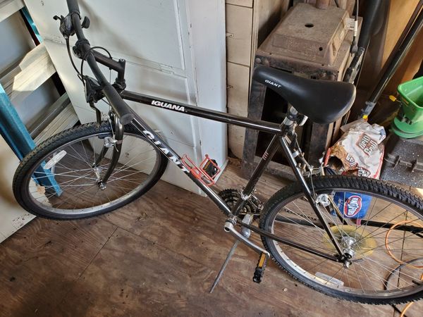 Giant Iguana 21" Bicycle Mountain Bike for Sale in Fort