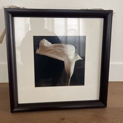 Framed Art Work