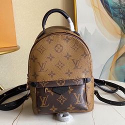 Louis Vuitton backpack