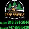 J&J Tree Service