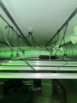 Gavita Pro 1700e LED Lights