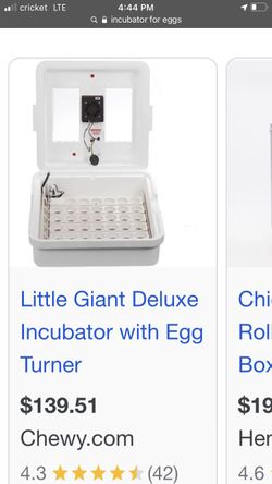 Egg Incubator 