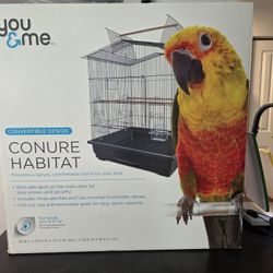 Birdcage 