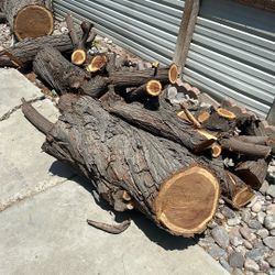 Firewood