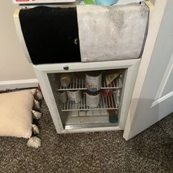 Mini Fridge 