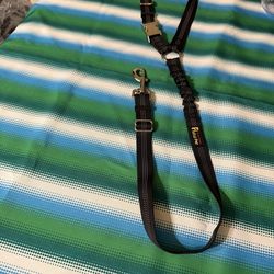 Dog Car Seat/ Naprene Dog Leash