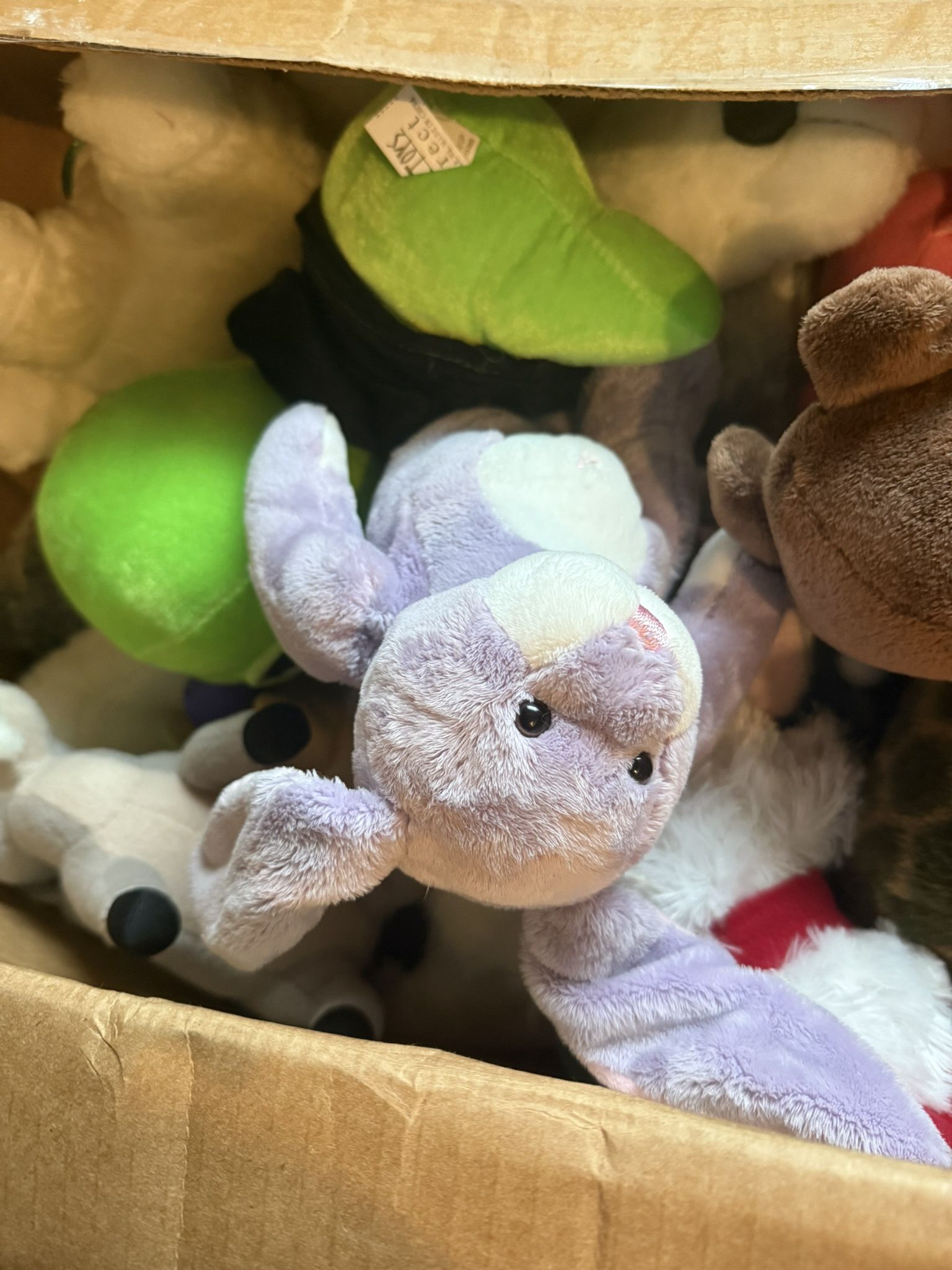 Stuffed Animals
