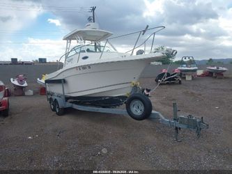 2013 Seaswirl Striper