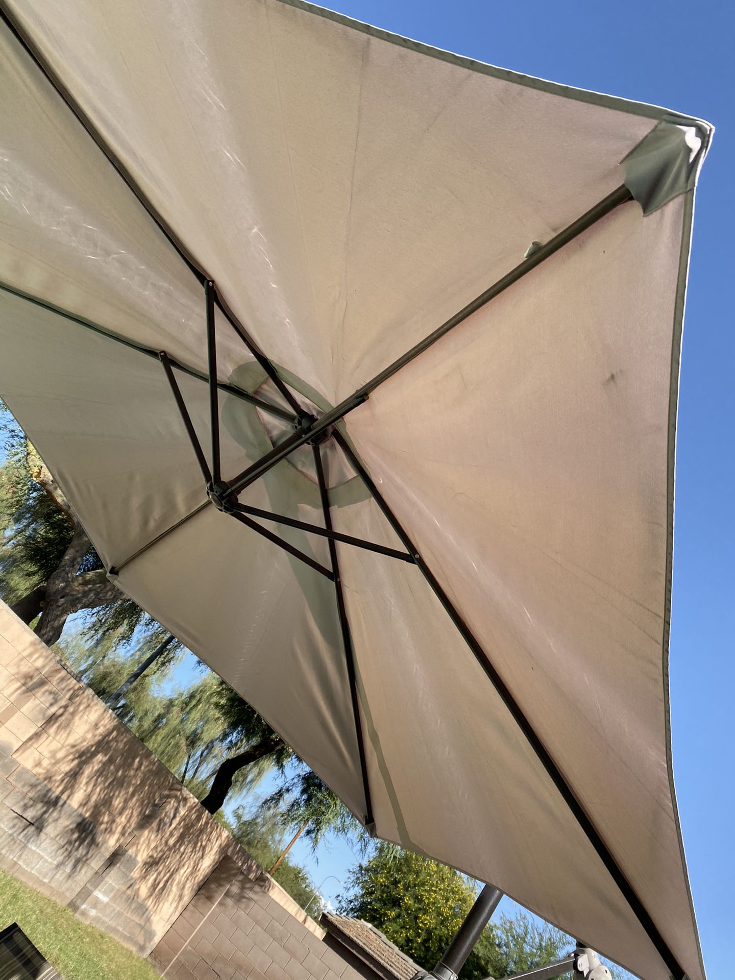 Large pool umbrella