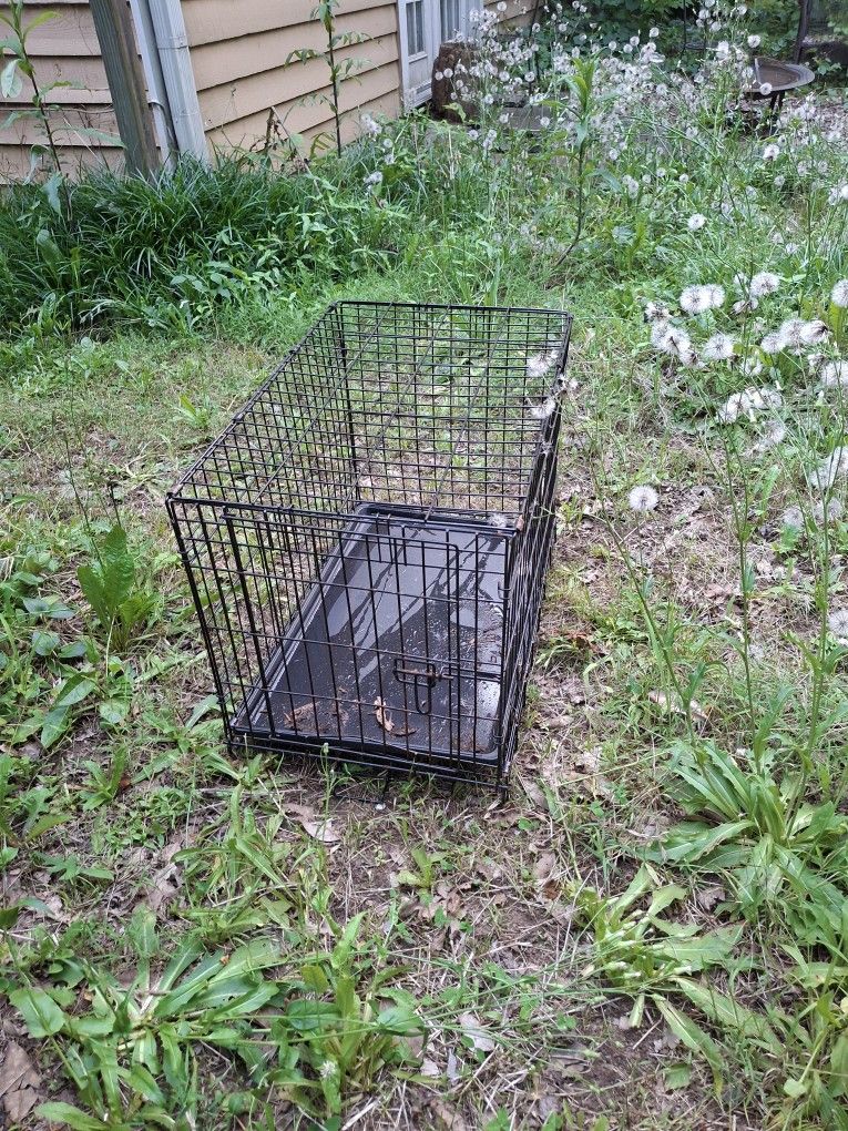 30x20 Cage