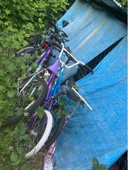 Bikes