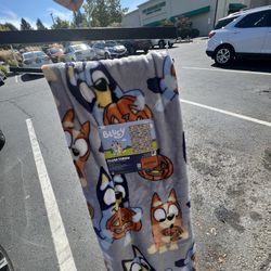 Bluey Halloween blanket!