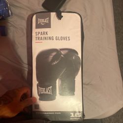 Everlast Boxing Gloves