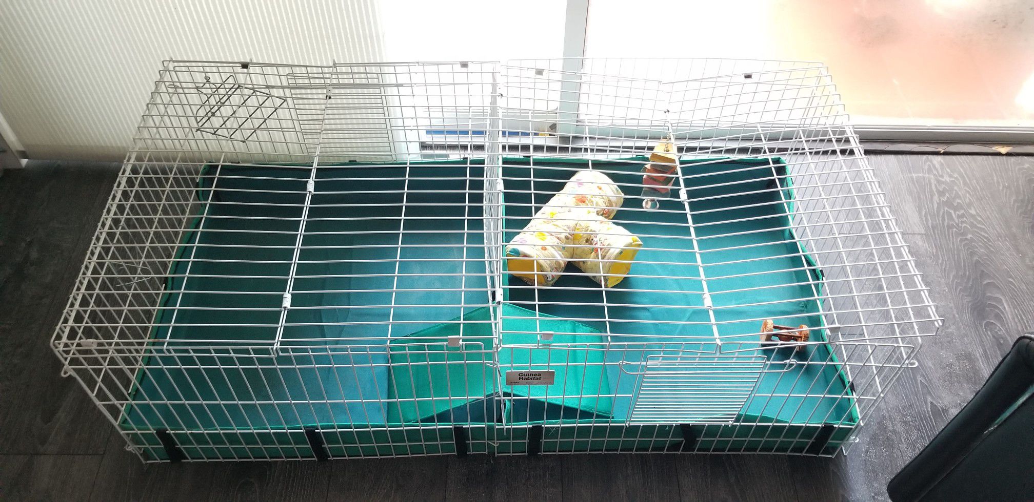 Guinea Pig Expandable Cage