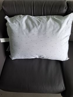 Bed Pillow
