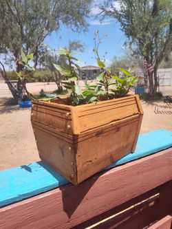 Redwood custom planter box