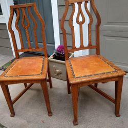 Dining Chairs 