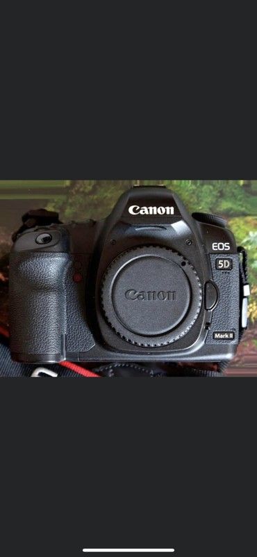 Canon 5d mk2 with 50mm lens