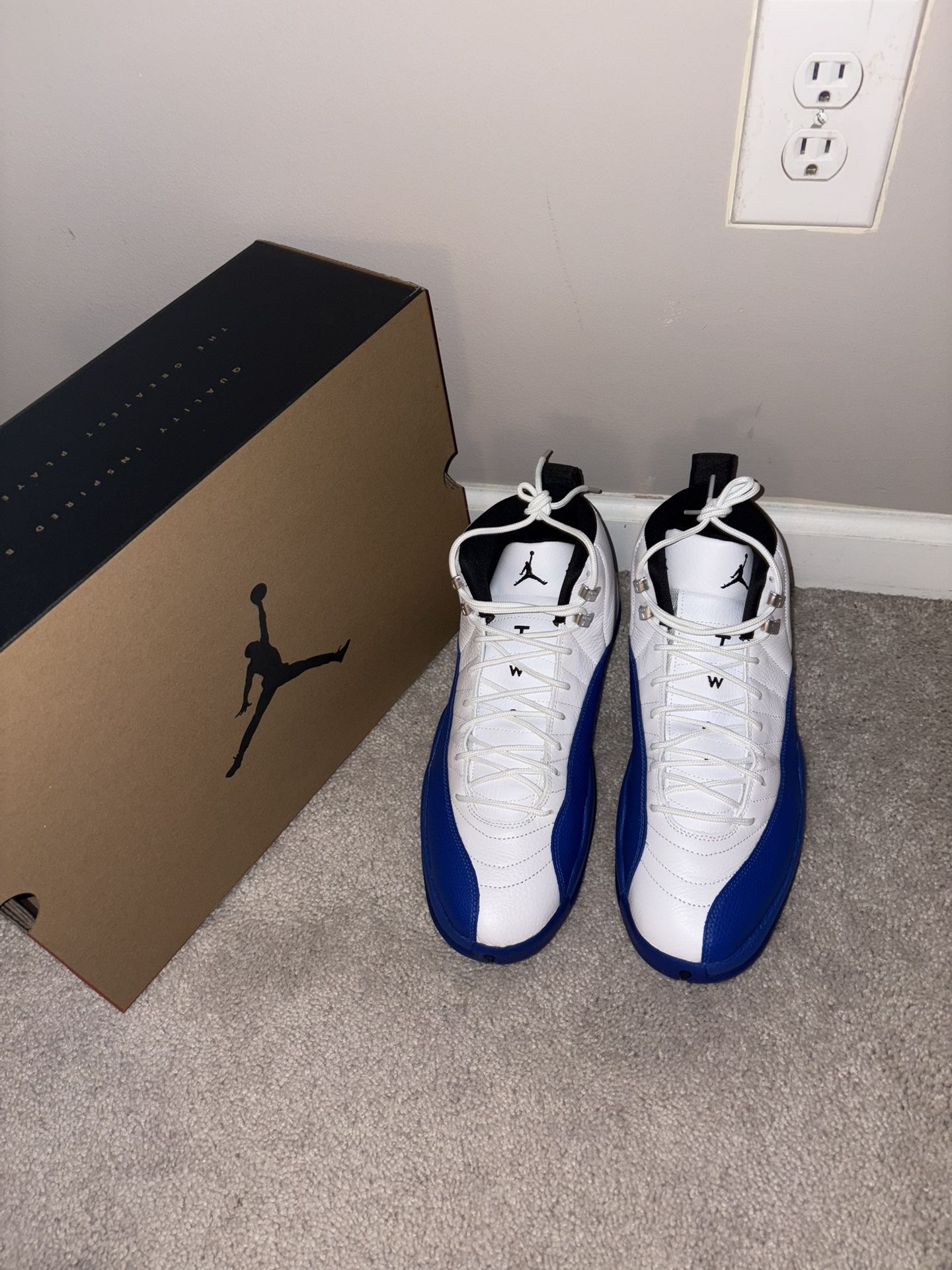 Air Jordan 12 Blueberry Sz13