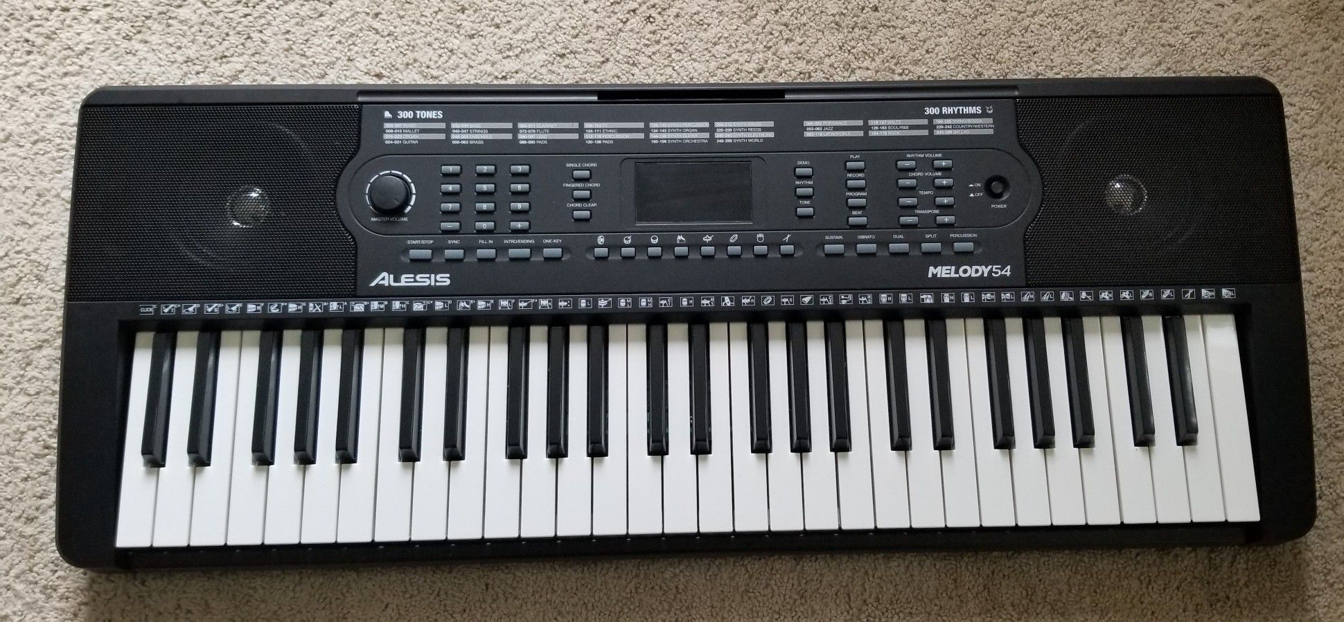 Alesis melody 54 electric keyboard digital piano 54 keys speakers 300 sounds rhythms 40 songs no mic