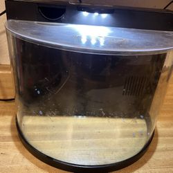 Filtered Fish Tank With Light 