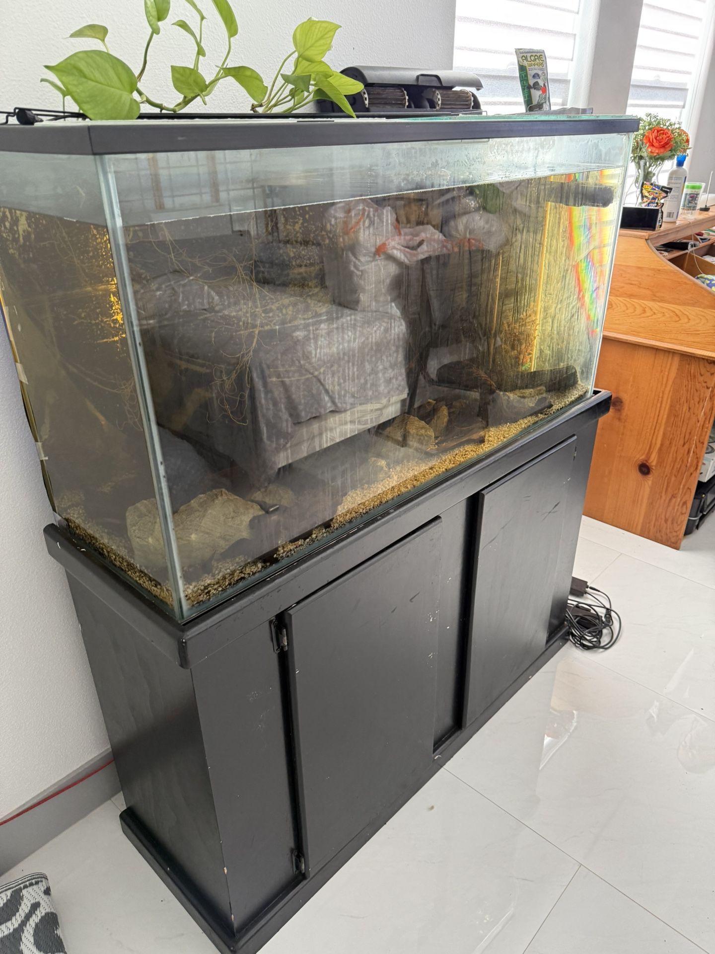 60 gallon fish tank