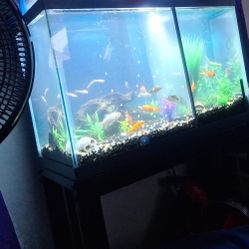 20 Gallon Tall With Metal Stand.