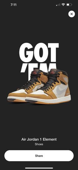Air Jordan 1 Element Gore Tex