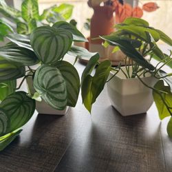 Small Fake Plants 