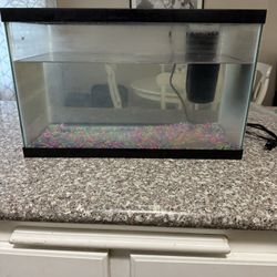 10 Gallon Fish Tank 