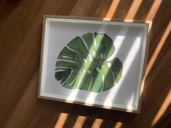 Monstera Picture Frame 
