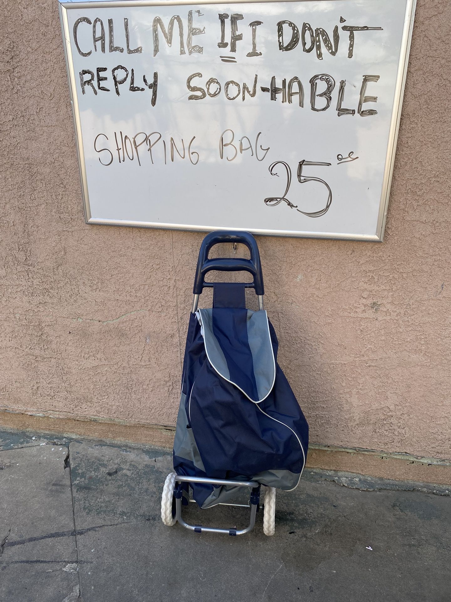Shopping Bag With Wheels