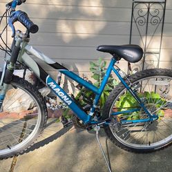 Women's bike