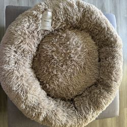 Dog Bed 