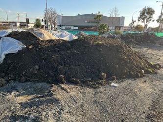 Free Dirt