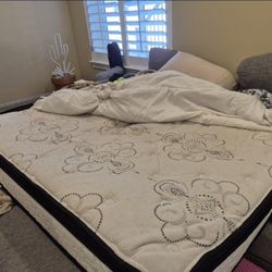 Queen Mattress (4 Years Old)