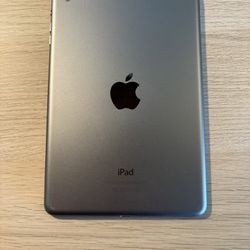 iPad Mini 2