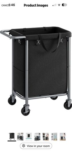 Laundry sorter
