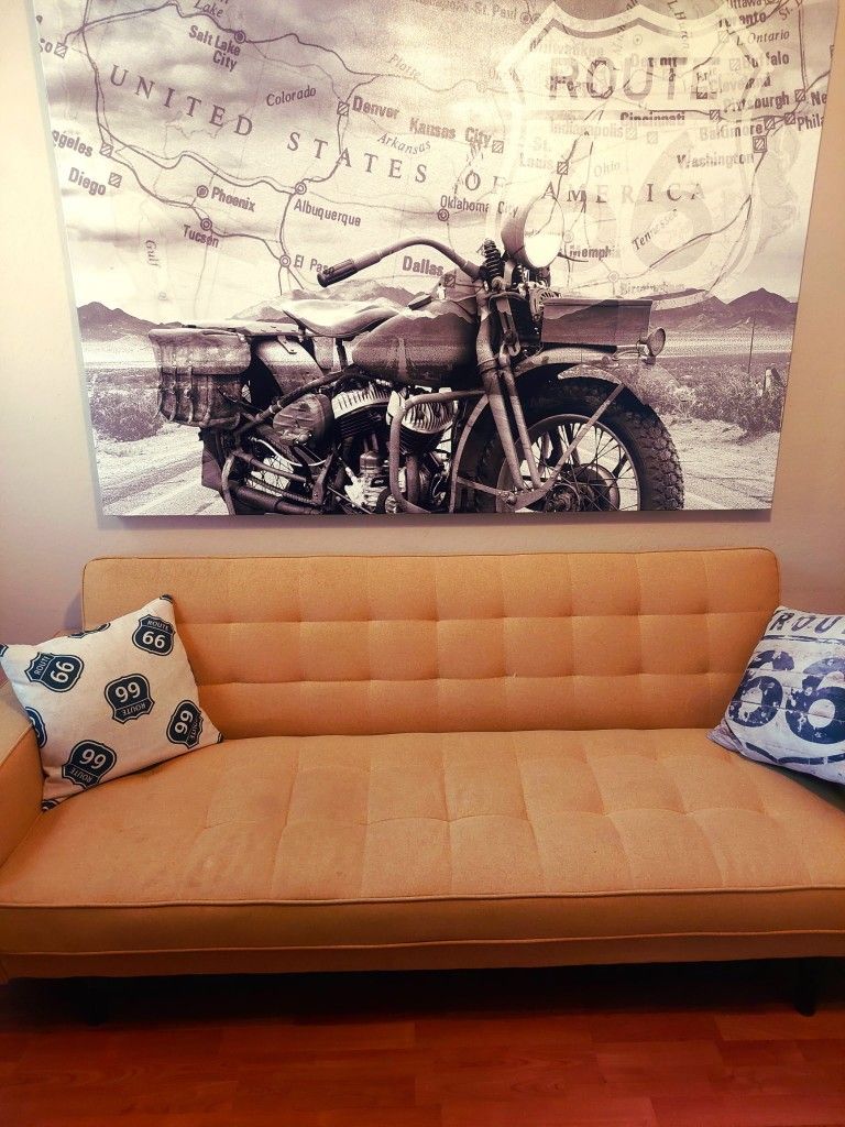 Gently Used Sleeper Sofa