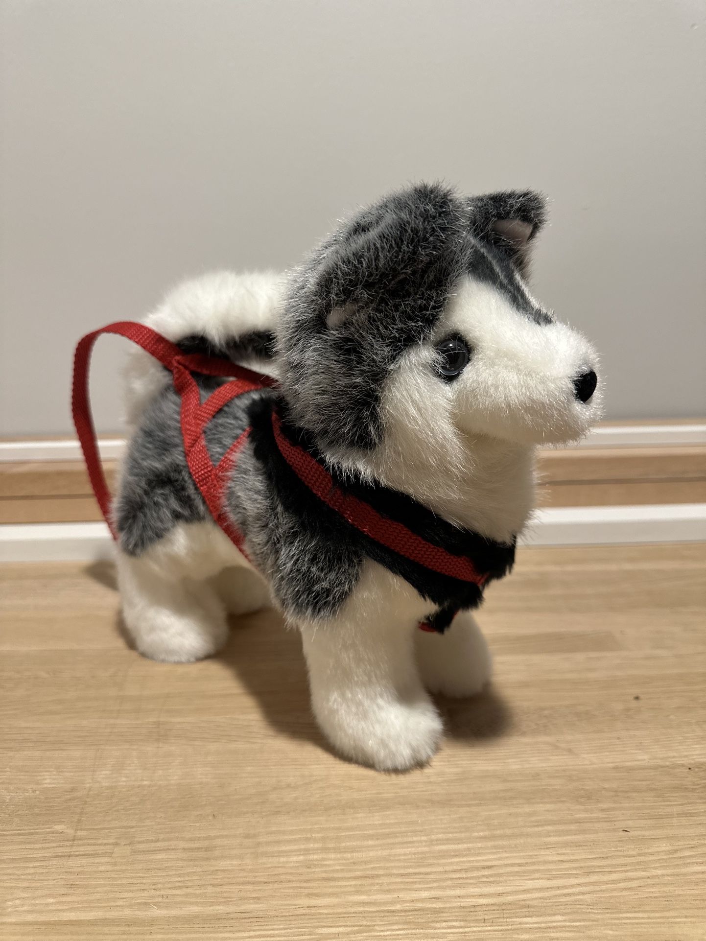 American Girl, Husky Dog