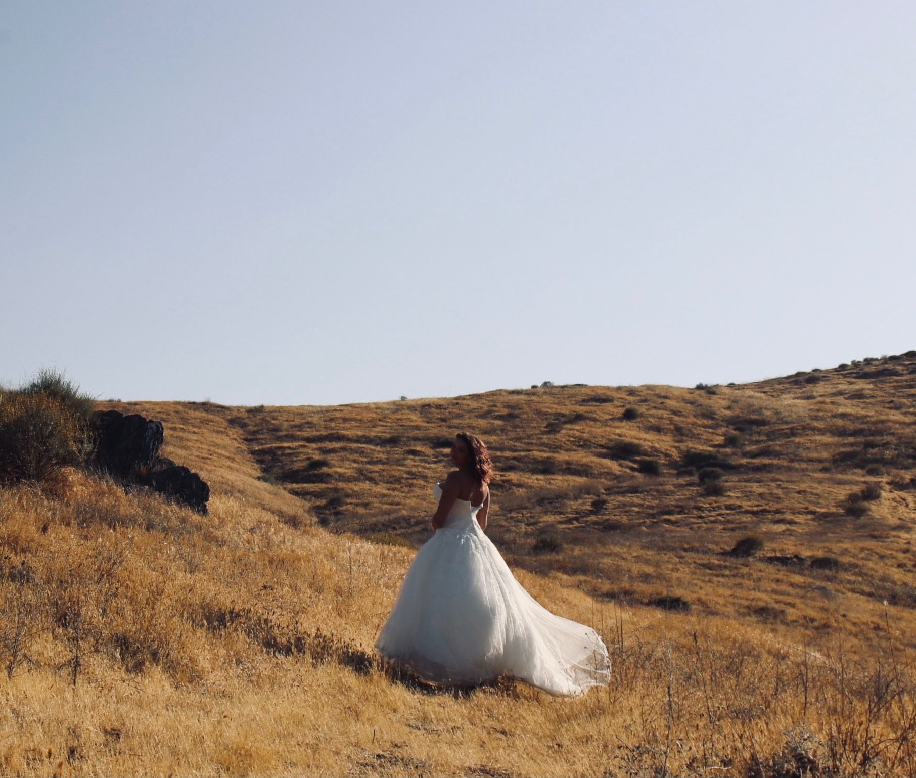 Davids Bridal Wedding Dress